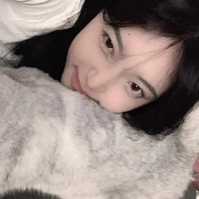 红猪